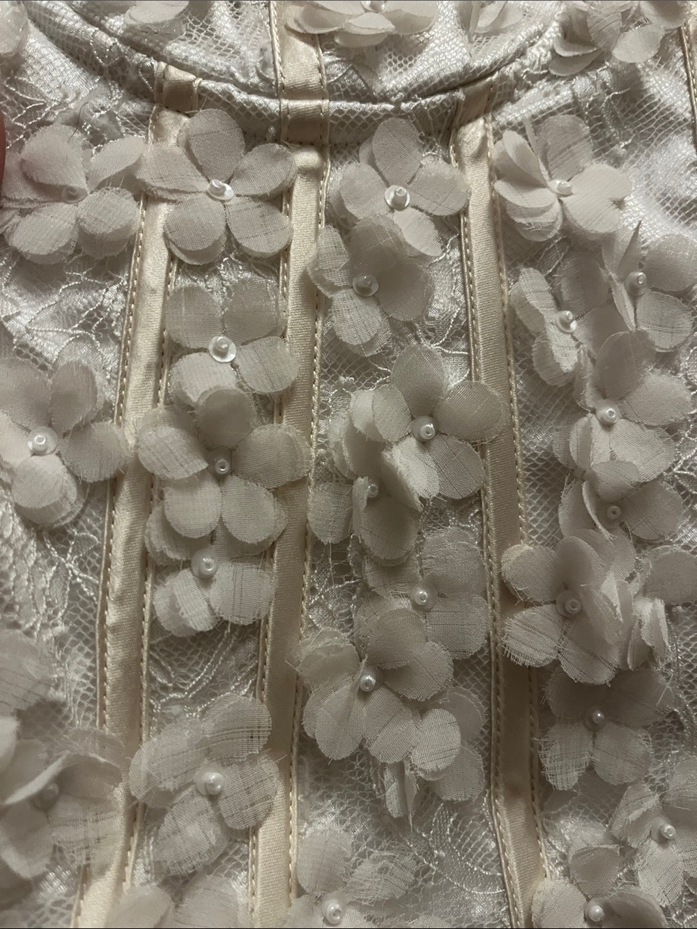 Ann Taylor Ivory Lace 3D Floral & Pearl Appliqué Bustier Corset size 6 - Picture 12 of 13